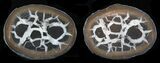 1" Cut and Polished Septarian Nodules - Photo 4